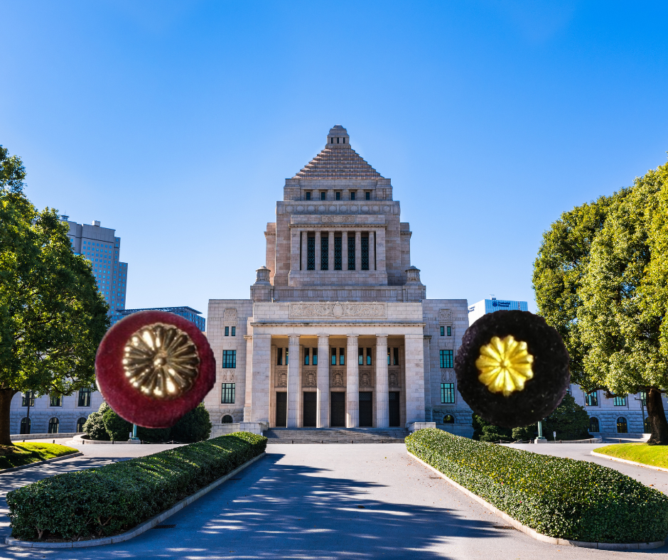 vol.65     国会議員になりたい人へ、元国会議員からのメッセージ