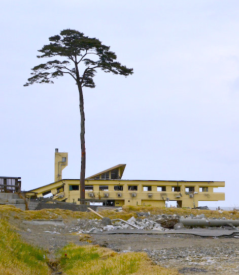 Great East Japan Earthquake:  An Expression of Condolence