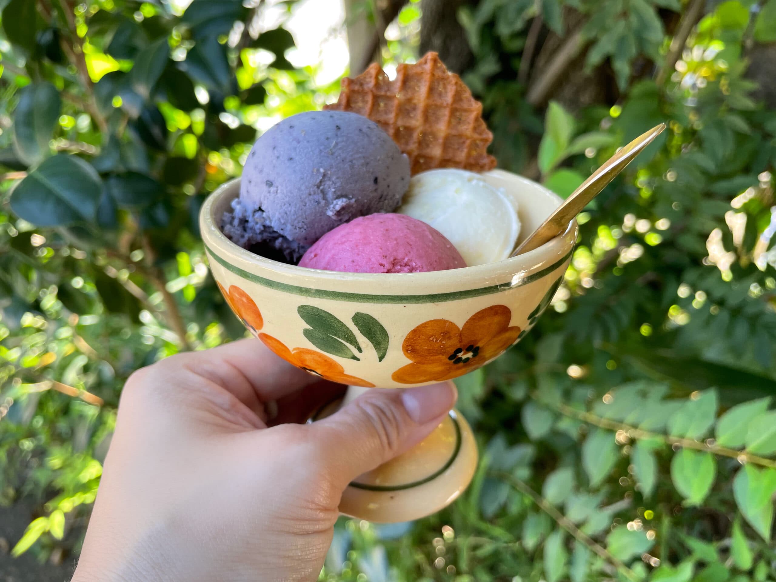 vol.791(EN)　Beyond Sweetness: Navigating the Chilled Dessert Aisle