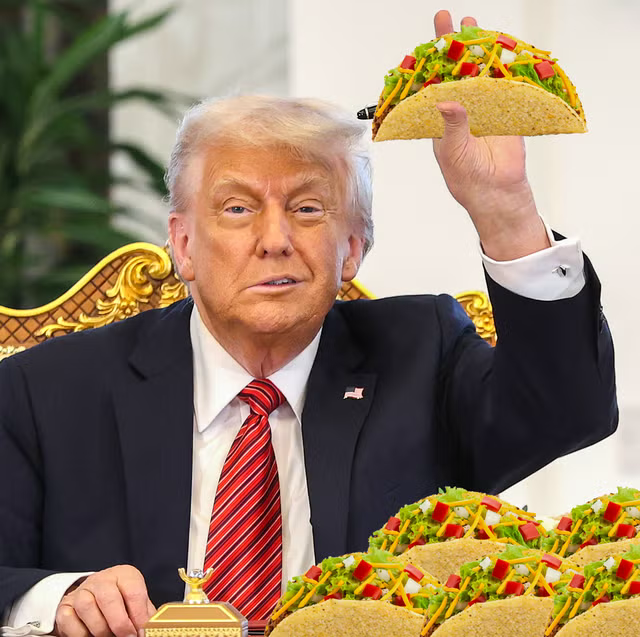 vol 859  その「タコ」、どの「TACO」？