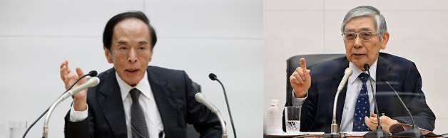 Vol 989  Snow Whiteのマーケット定点観測