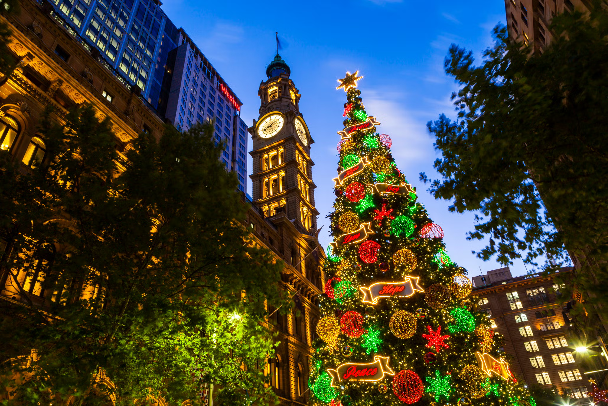 vol 1013(EN)　The “Margin” of December 25th