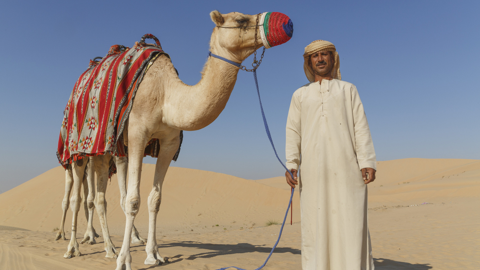 vol 1025   砂漠の決断 ―サウジアラビア市場開放に隠された、王国の「生存戦略」